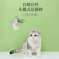 [Eli_mad cat pit