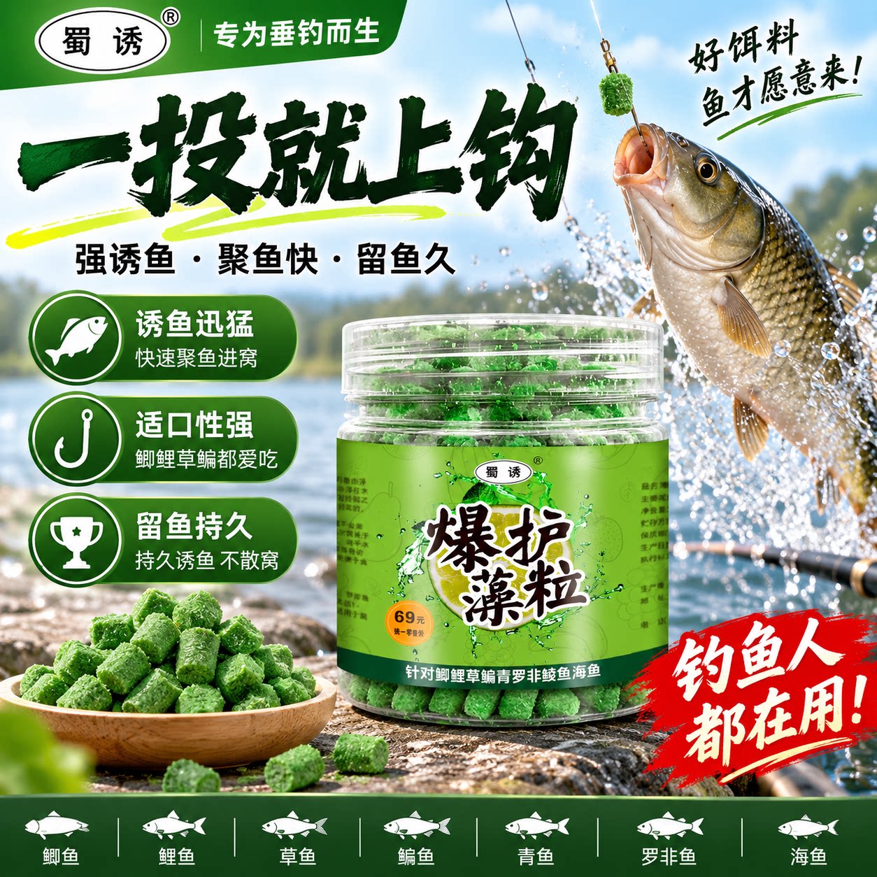 爆口果藻钓鱼饵料鲫鲤草