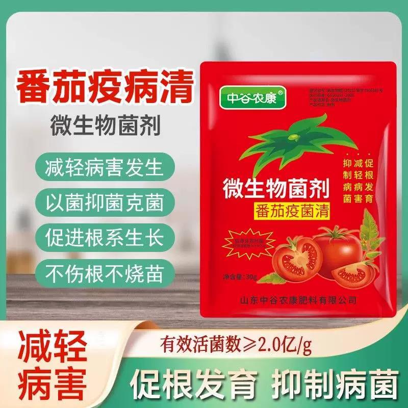 番茄疫菌清炭疽灰霉白粉