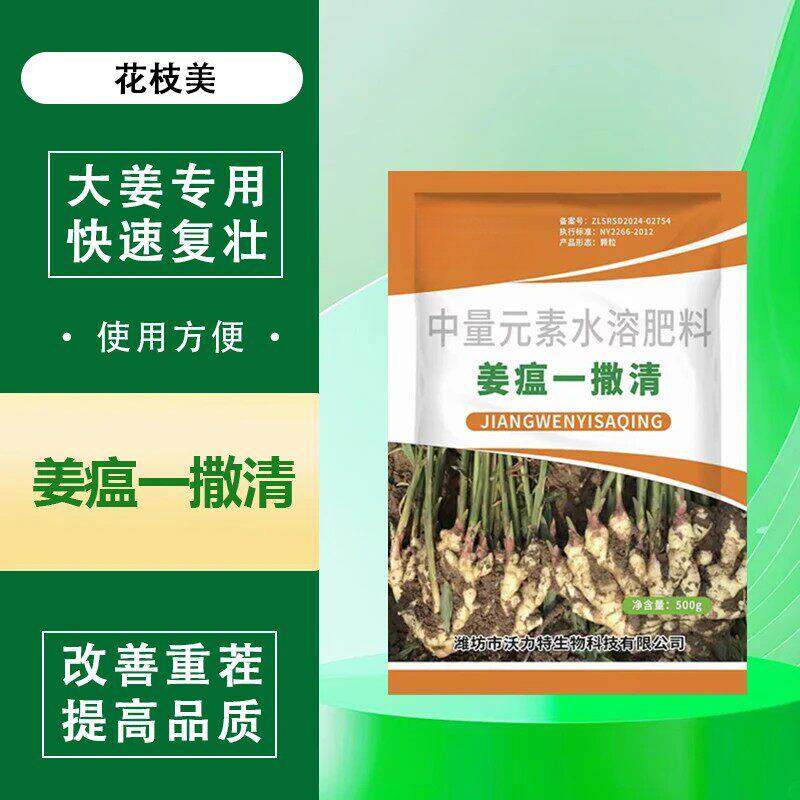 花枝美姜瘟一撒清科沃华预防姜瘟炭疽叶枯腐烂复壮提高微生物肥料
