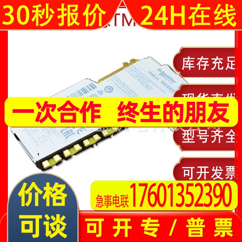 TM5SAI2L  PLC拓展模块,原装TM5系列PLC模块