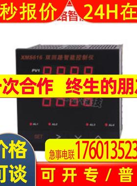 XMS614B XMS616B XMS618B双回路智能数显控制(变送)仪北京汇邦