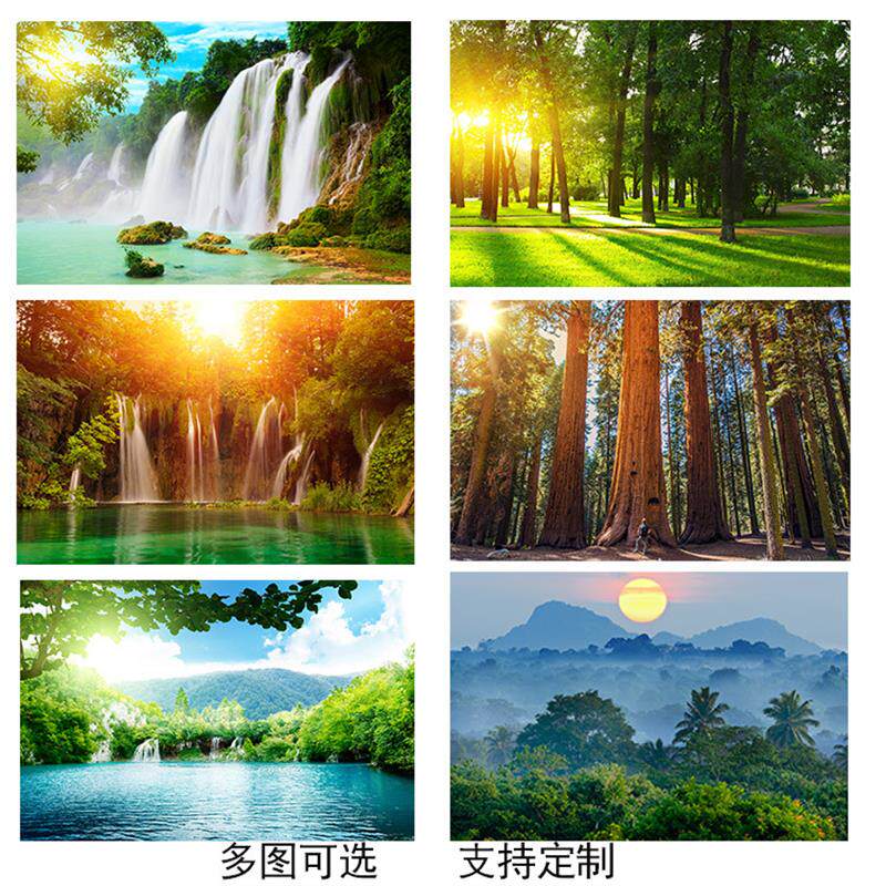 瀑布山水画高山流水挂画阳光大自然风景贴墙画草地树木森林风水画