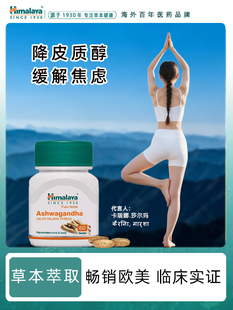 南非醉茄原厂正品提取物海外进口印度人参皮质醇舒缓压力肥睡眠