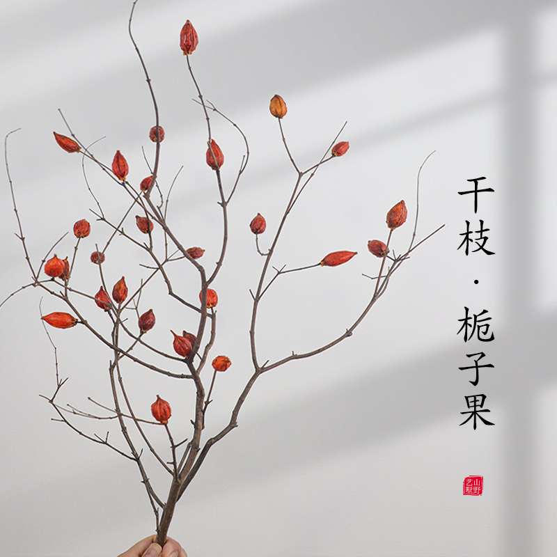 茶馆民宿会所禅意玄关干花