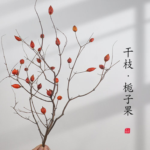 茶馆民宿会所禅意玄关干花