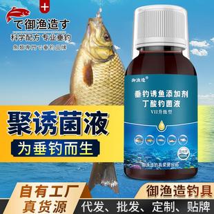 抖音同款梭丁酸菌液钓鱼小药水野钓黑坑鲫鲤青草鲢鳙鱼饵料窝料诱