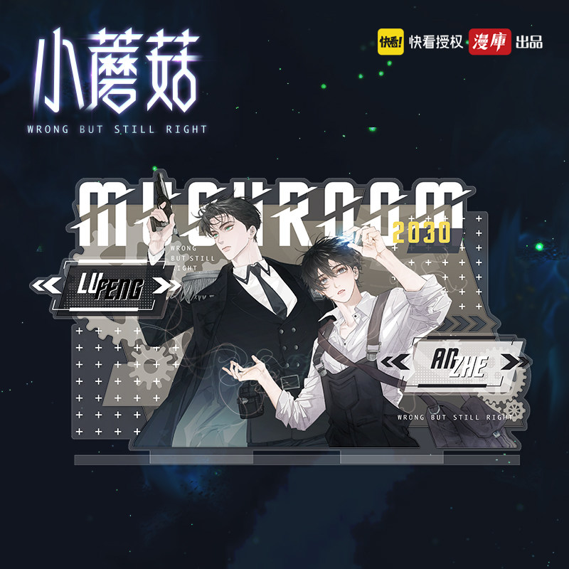 小蘑菇正版衍生周边 一十四洲原著  陆沨x安折
