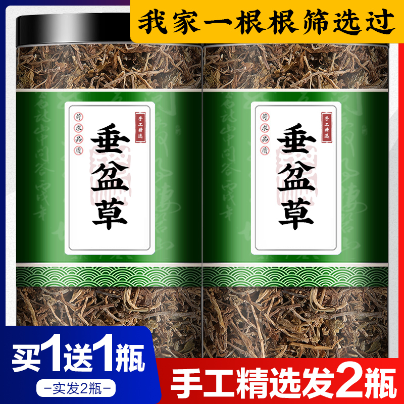 垂盆草中药材狗牙草瓜子草狗牙瓣草食非野生用泡茶新鲜干货-封面