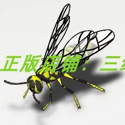 大黄蜂蜜蜂昆虫动物 Solidworks含参 3D打印素材 三维几何数模型