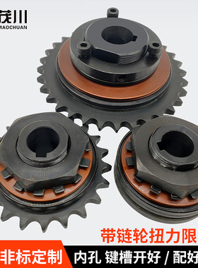 TL350扭力限制器500扭矩离合器配带链轮250摩擦式过载保护器200-2