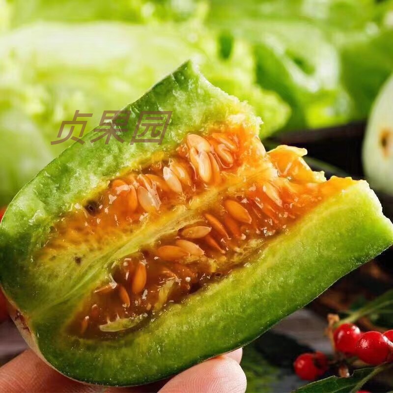 羊脚蜜甜瓜新鲜 包邮水果山东羊角密瓜蜜瓜当季应季带箱5斤|msdalam kategori daging perikanan/Buah-buahan segar dan sayur-sayuran/dimasak, buah-buahan segar, lain - dari Buy2taobao.com untuk memberikan perkhidmatan ejen Taobao profesional membeli
