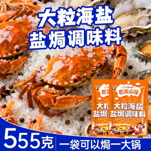 大粒海盐盐焗调味料海鲜专用粉颗粒粗盐粗海盐调料包香料鸡家用