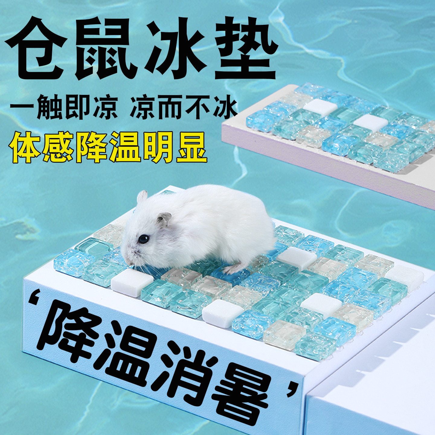 仓鼠冰垫夏天降温板散热用品宠物屋金丝熊兔子凉席垫避暑神器冰窝