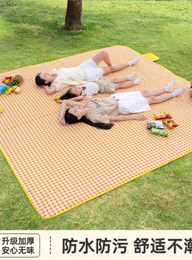 野餐垫防潮垫加厚户外露营地垫防水一次性折叠便携草坪音乐节垫子