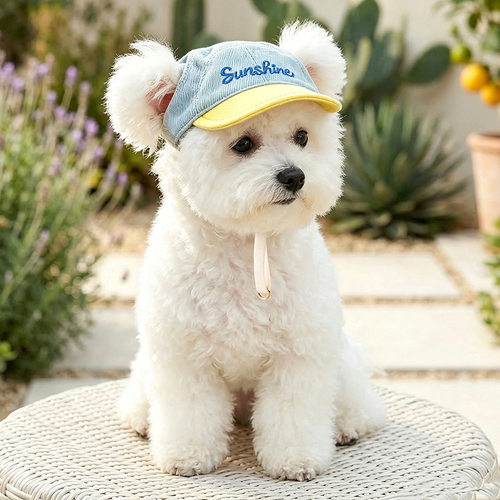 宠物狗猫小型犬幼犬外出配饰个性帅气透气舒适柠檬海盐帽子