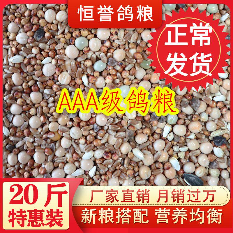 鸽粮无玉米鸽子粮幼鸽成