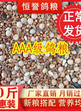 鸽粮无玉米鸽子粮幼鸽成鸽观赏鸽肉鸽信鸽清除保健砂精品鸽子饲料
