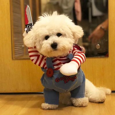 狗狗带刀搞怪衣服致命娃