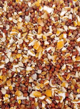 高粱玉米粒碎喂鸡混合型喂鸽子玉米碎粒红高梁营养鸽粮食通用低价