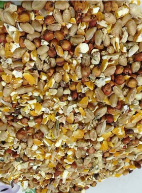 高梁麦子玉米碎混合喂鸡玉米粉糁鸡鸭粮食鸽子粮兔猪仓鼠钓鱼打窝