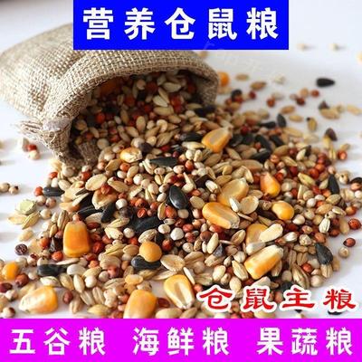 仓鼠粮食豪华海鲜水果蔬