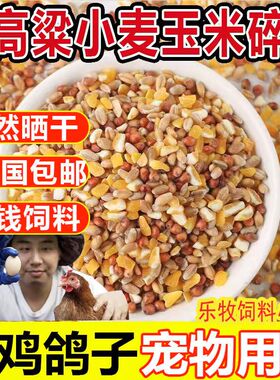 优质高梁麦子玉米碎混合喂鸡玉米粉碎渣糁鸡鸭粮食鸽子粮兔猪仓鼠