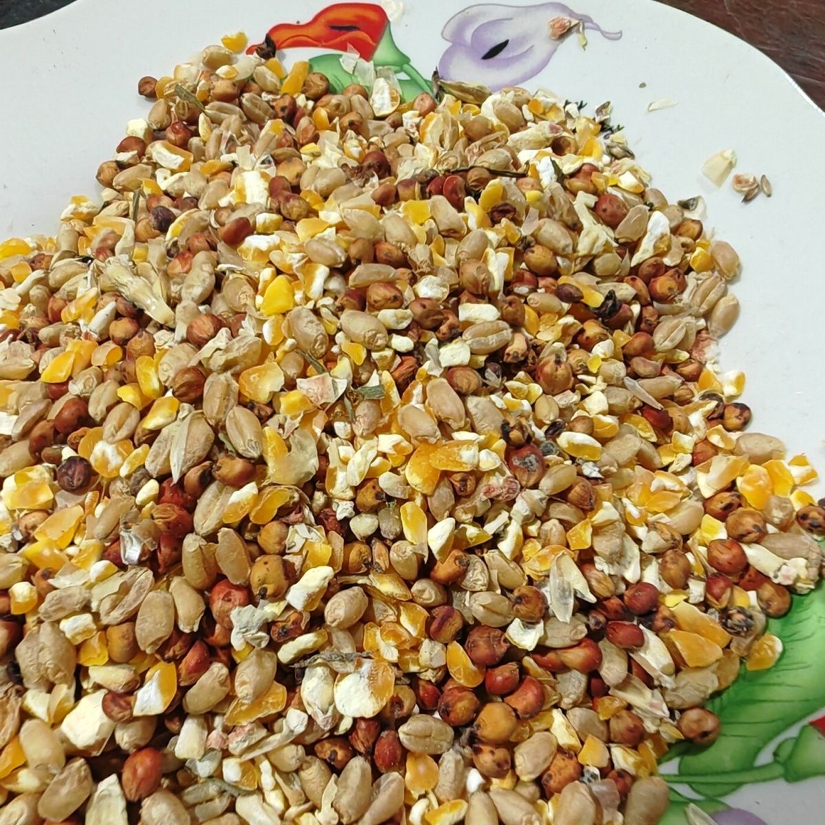 高梁麦子玉米碎混合喂鸡