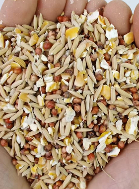 高粱稻谷玉米碎粒混合喂鸡喂鸽子玉米粉碎渣糁杂高梁鸽粮食保健砂