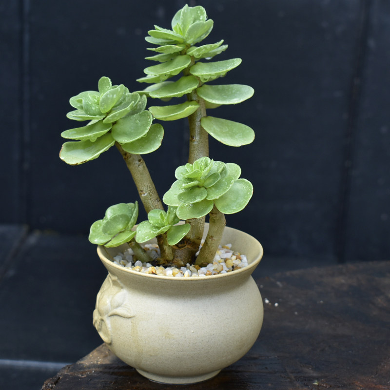 网友分享在meiguo.com的图片