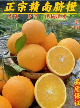 正宗赣南脐橙新鲜现摘现发应季水果香甜多汁农家甜橙子