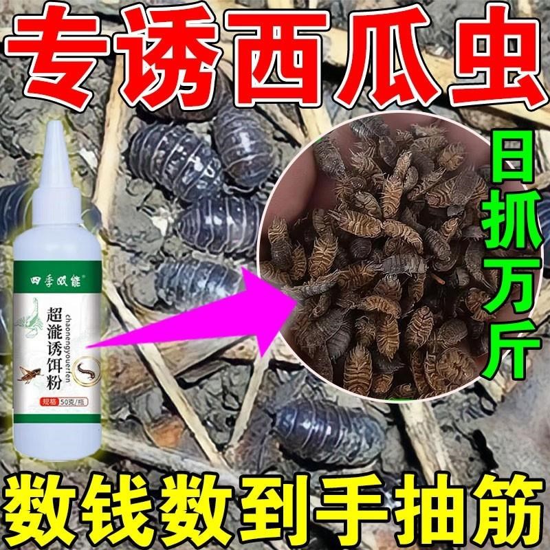 【日诱千斤】西瓜虫诱捕药抓土鳖土元虫捕捉蜈蚣潮虫鼠妇神器饵料