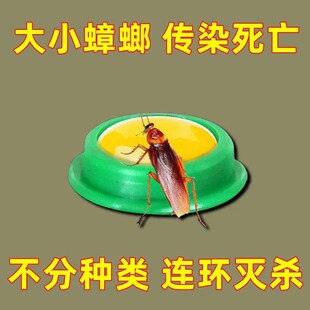 蟑螂药强效家用无毒一窝端卧室厨房蟑螂克星灭虫神器一扫光方便贴