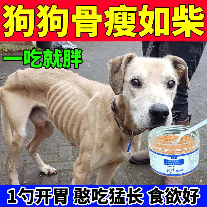 狗狗不吃饭挑食厌食增肥长肉营养品促食欲开胃复合维生素拌粮辅食
