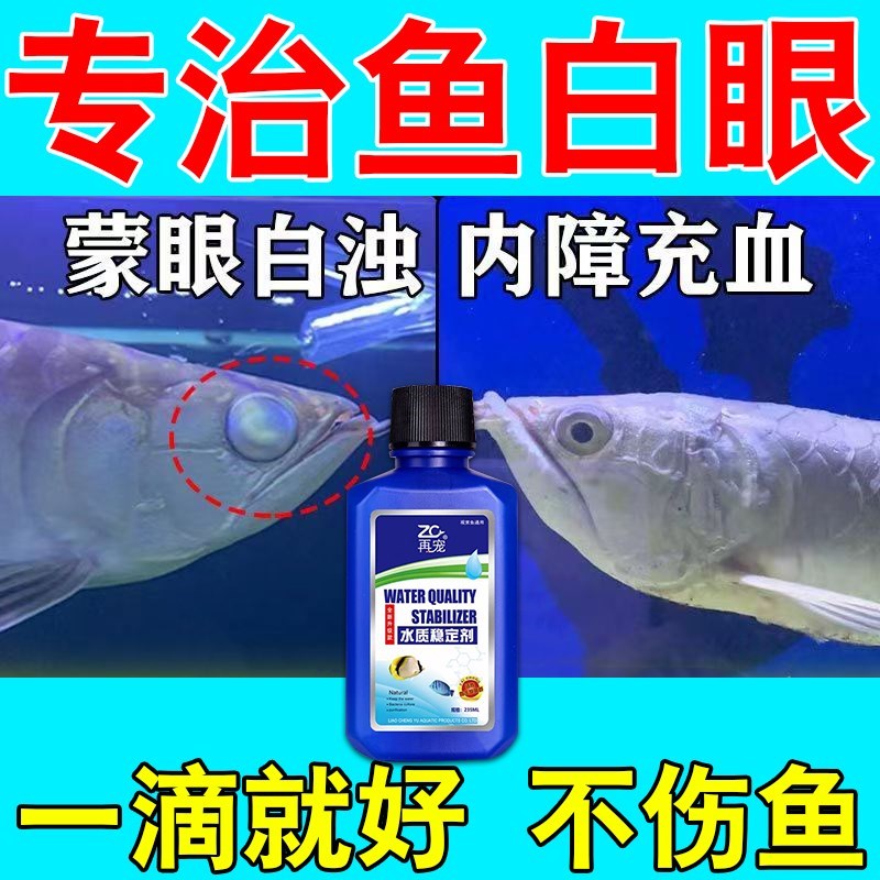 治鱼病的药鱼白眼病金鱼龙鱼蒙眼眼睛发白肿胀充血观赏鱼突眼专用