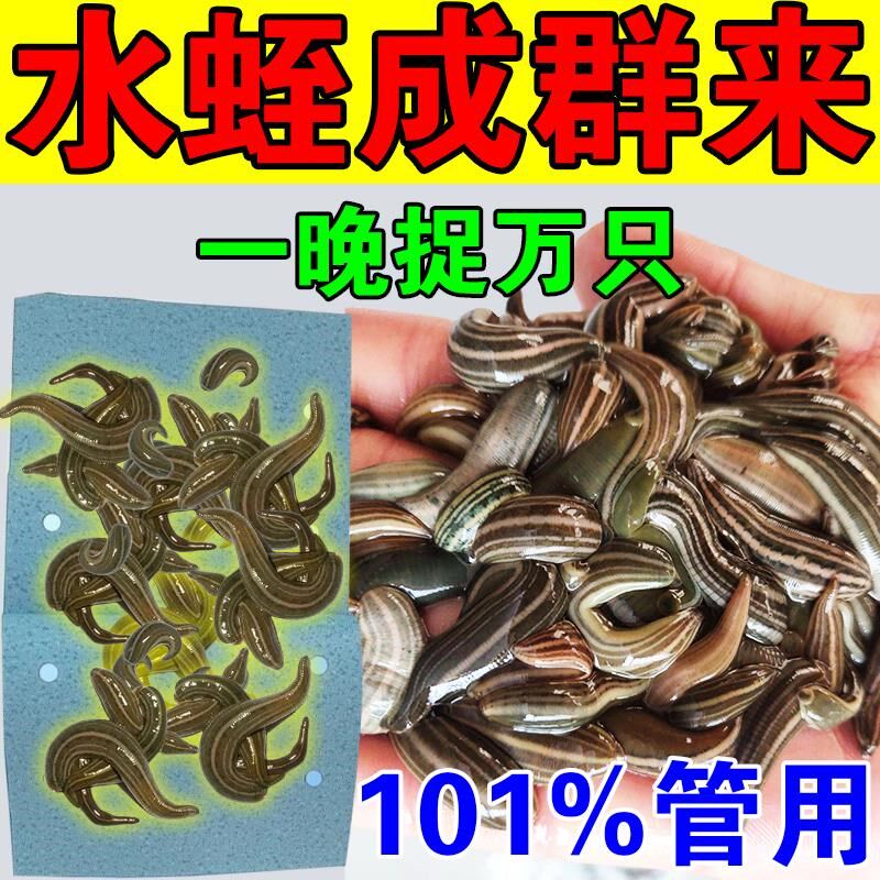 水蛭捕捉器蚂蝗捕捉一体机药诱捕饵料浓缩诱剂专用捕捉工具抓捕板