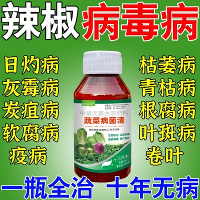 辣椒病毒病专用药治辣椒卷叶黄叶炭疽叶斑霜霉灰霉病疫病清克星
