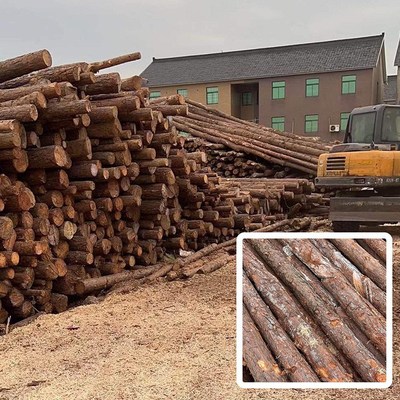 木雕木工艺品松木原木木桩建材高密度板实木家具原料松木木料01