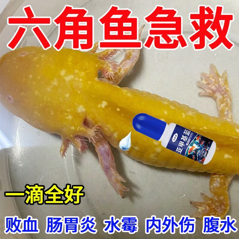蝾螈六角恐龙鱼生病白点水霉外伤败血专用杀菌净水亚甲基蓝常备药