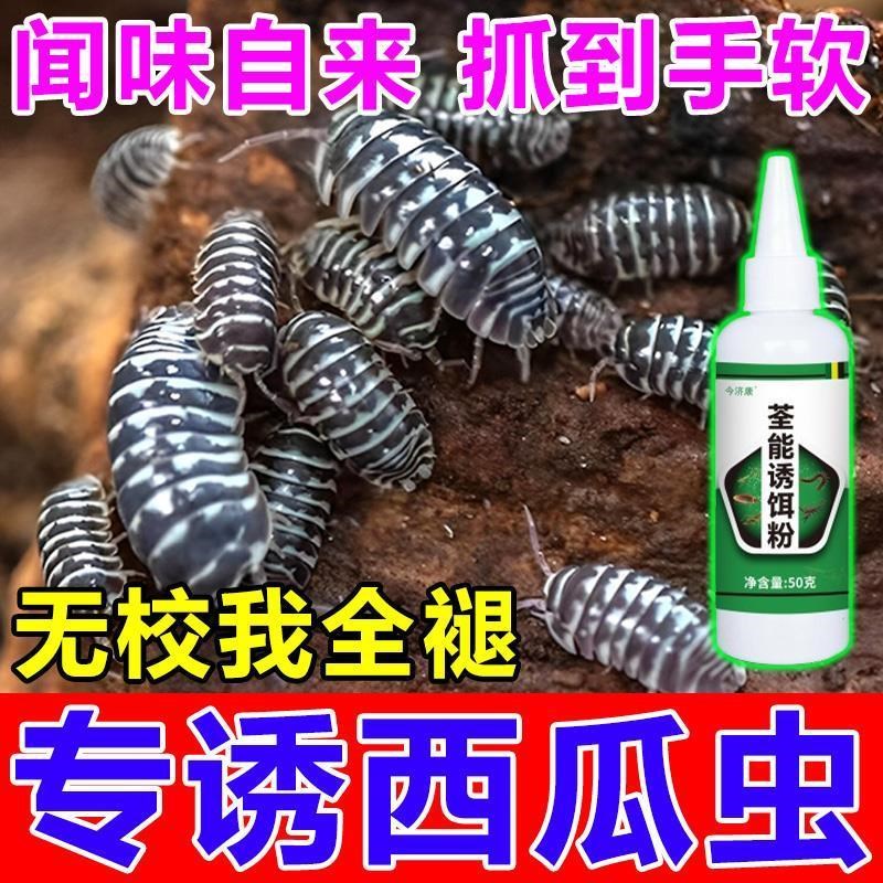 西瓜虫诱捕药饵料捉蜈蚣蝎子蝼蛄抓土鳖土元虫潮虫鼠妇专用诱饵药