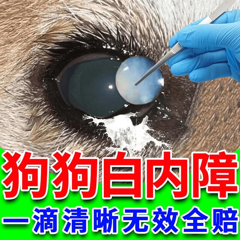狗狗白内障专用眼药水中老年犬滴眼液泪痕严重清洁眼屎青光角膜炎