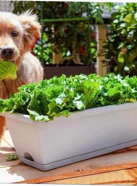 Vegetable pots flower Plant rectangular large planting box