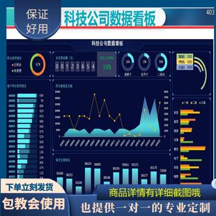 原创设计数据看板可视化图表EXCEL表格WPS系统定制