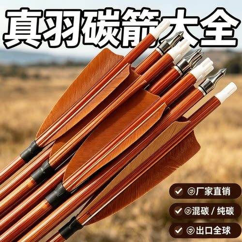 真羽纯碳箭火鸡羽箭矢