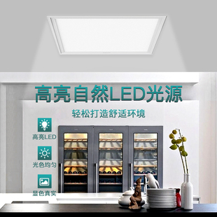 led300×600×300厨卫灯卫生间浴室嵌入式 集成吊顶灯 面板厨房灯