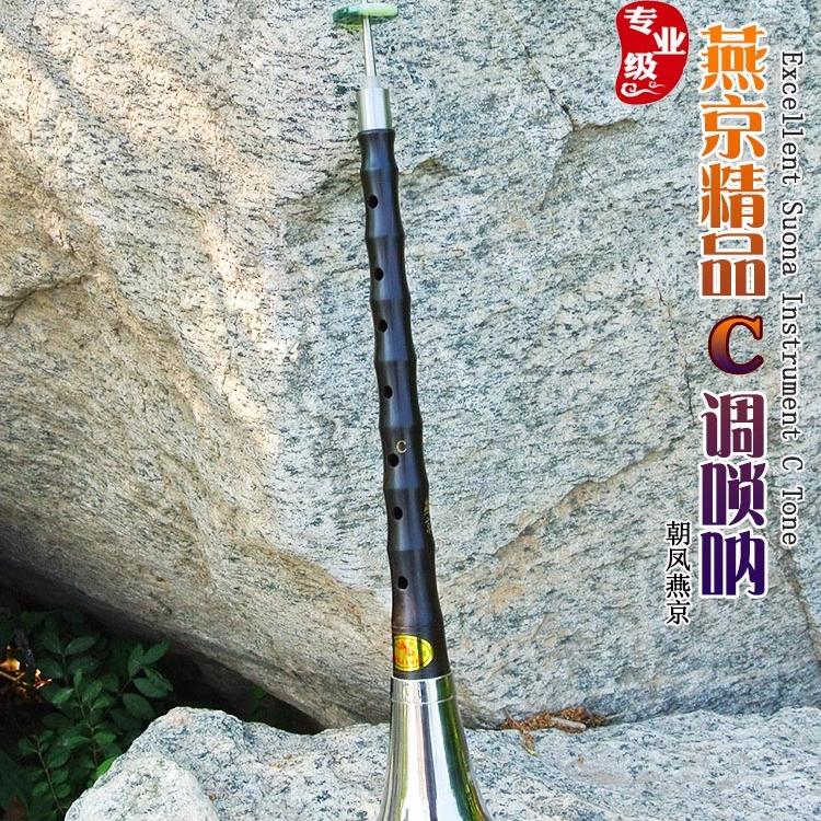 唢呐乐器 初学者成人乌木唢呐C调全套民族吹奏乐器送哨片流行歌曲