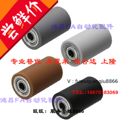 带轴承型滚轮内径RORA RORJS RORTA25/30/40/50-25/30/40