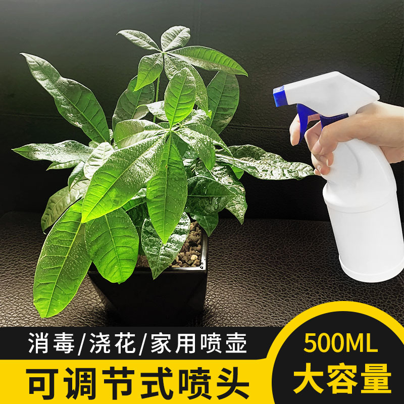 浇花喷壶气压式喷水壶高压大容量手动压力消毒喷雾器家用小浇水壶