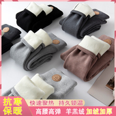 秋裤 羊羔绒打底裤 高腰大码 纯棉东北保暖裤 女秋冬加绒加厚外穿棉裤