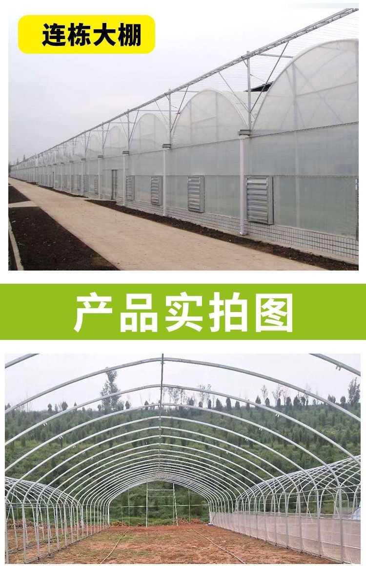 温室大棚钢管骨架椭圆管棚农业用品种植养殖连体连栋